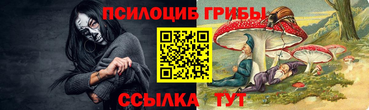 Псилоцибиновые грибы GOLDEN TEACHER Северобайкальск
