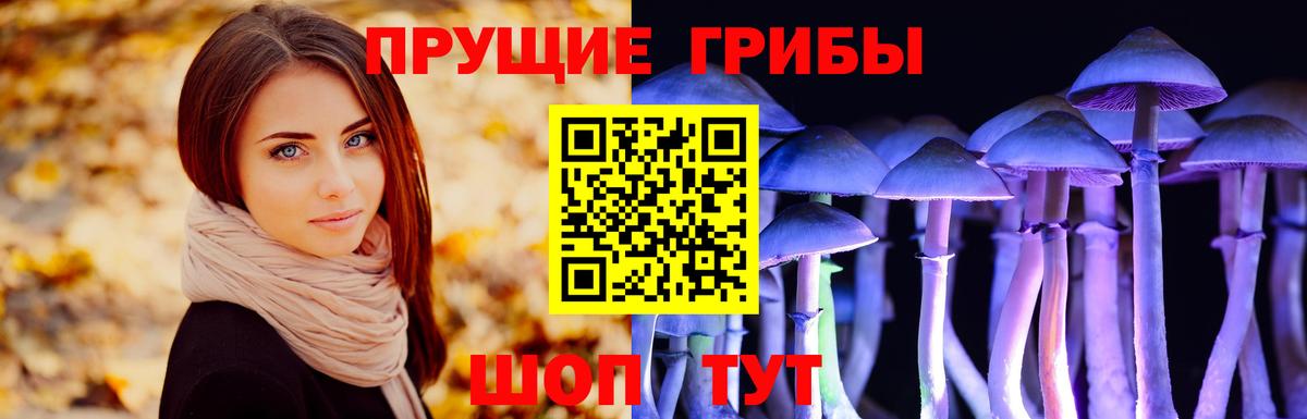 Псилоцибиновые грибы Magic Shrooms  Вход с VPN  Северобайкальск 