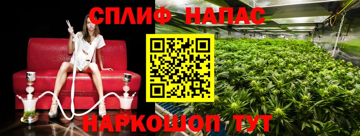 Марихуана сатива Северобайкальск